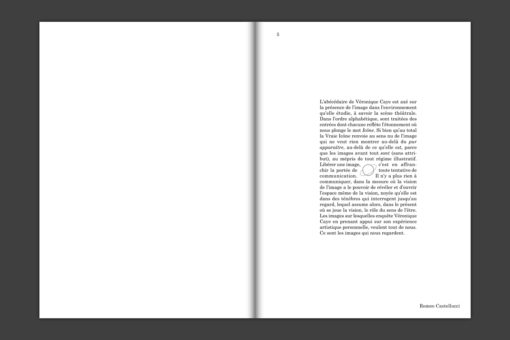 Vera Icona, Abécédaire de l’image scène — Véronique Caye – Image 2