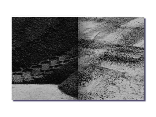 Grains. - Bérénice Béguerie – Image 6