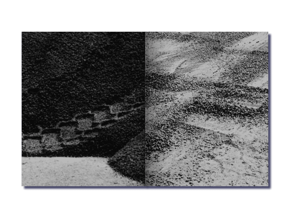 Grains. - Bérénice Béguerie – Image 6