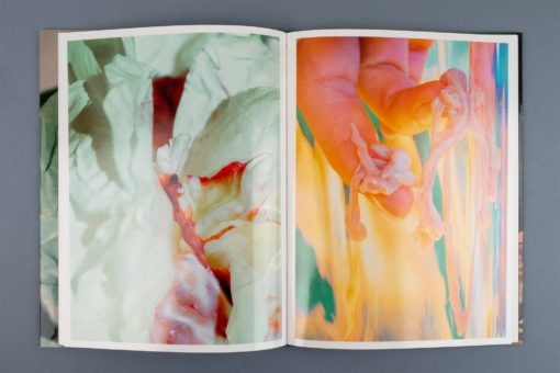 Mise en Pièces - Lucile Boiron – Image 12