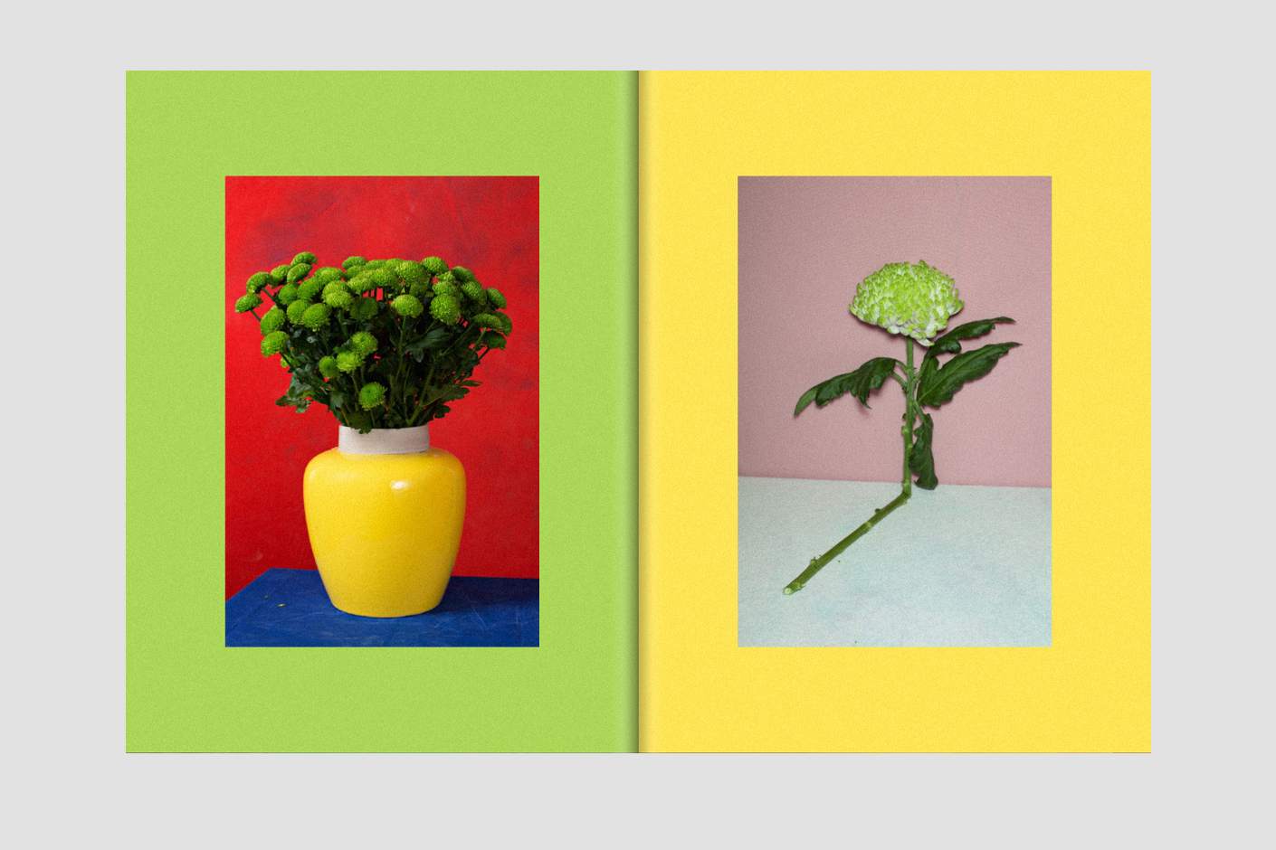 Turlupin N°1 \ Soumission — Michael Dans – Image 6