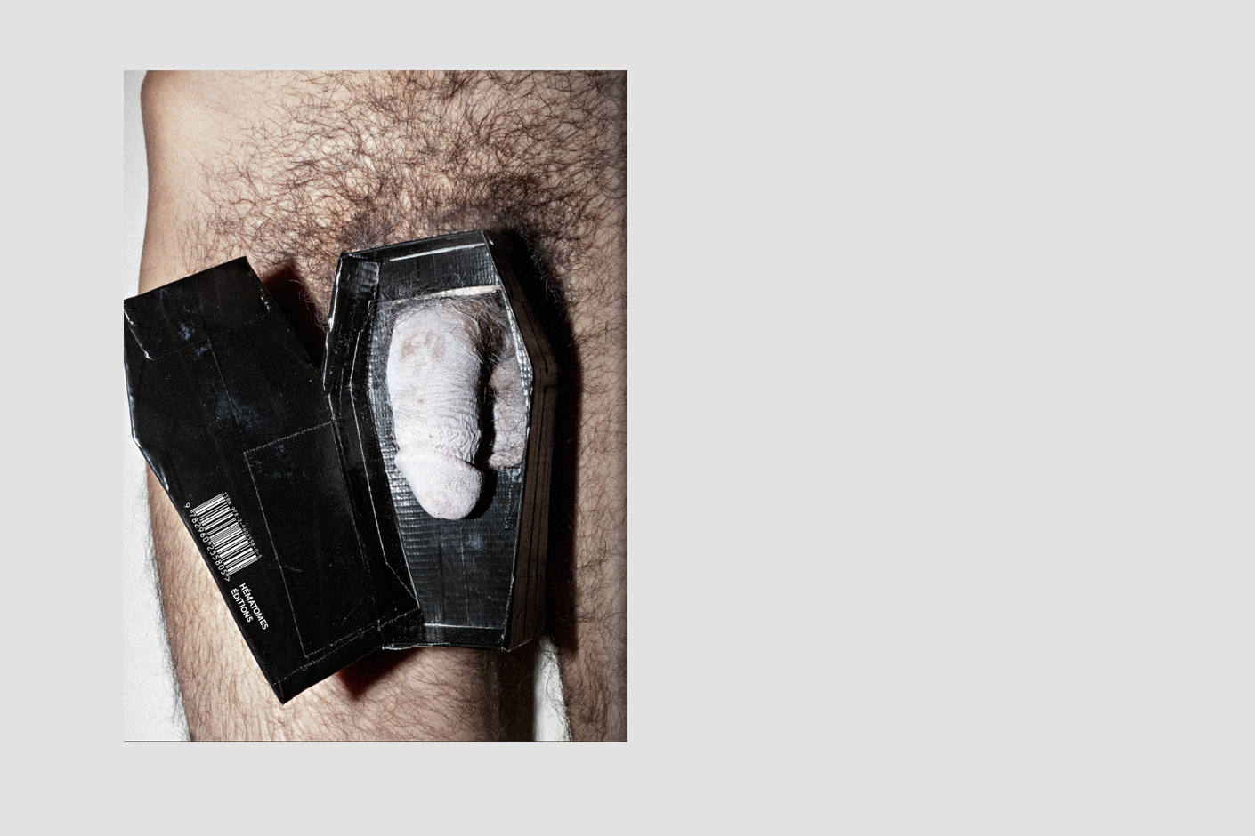 Turlupin N°1 \ Soumission — Michael Dans – Image 7
