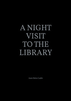 A night visit to the library - Amir Brito Cadôr