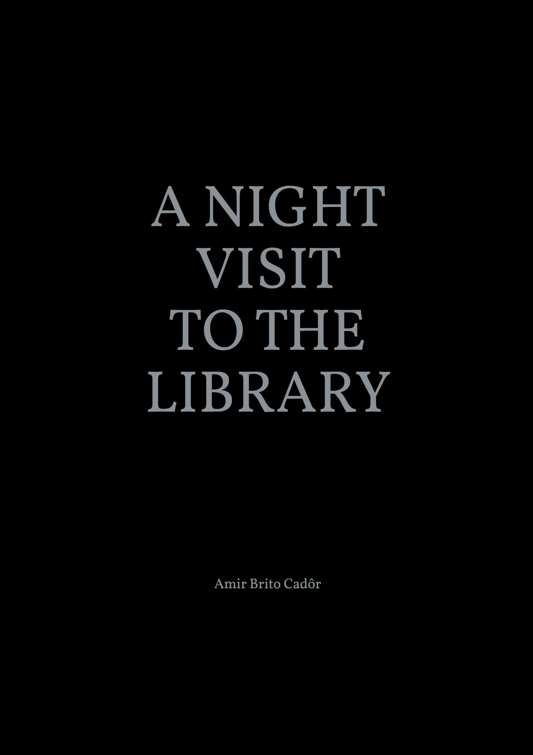 A night visit to the library - Amir Brito Cadôr