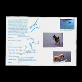 fil·le·s de polypropylène bleu  - coll. – Image 2