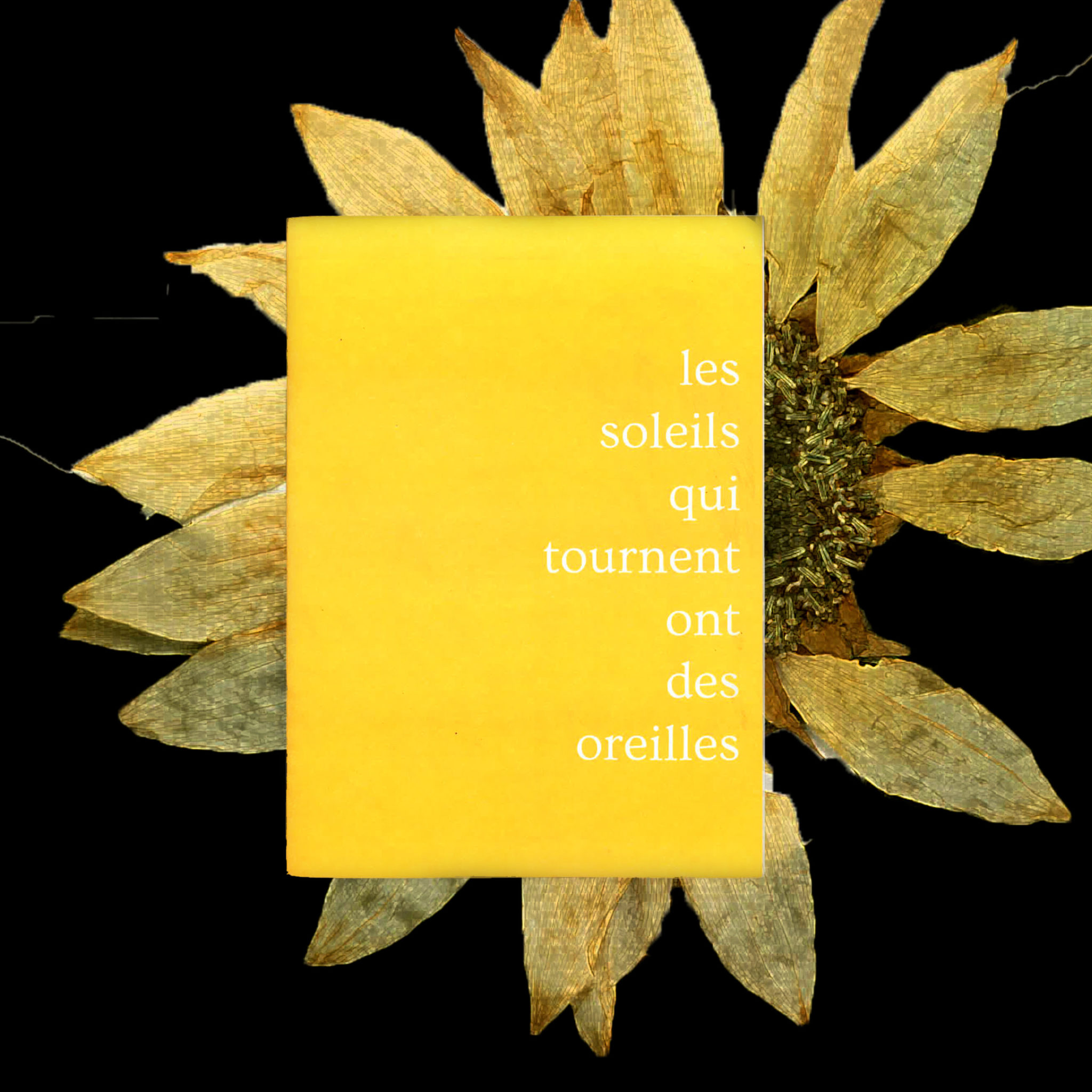 Les soleils qui tournent ont des oreilles - coll. – Image 5