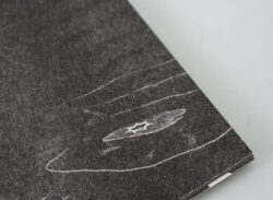 Morph - Camilo García A. – Image 7
