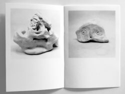 Followers - Agnès Wyler – Image 5