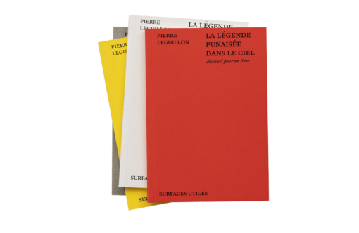 La légende punaisée dans le ciel, manuel pour un livre, Pierre Leguillon – Image 2
