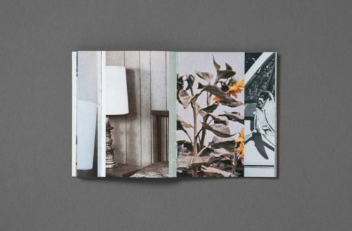 I Wish I Never Saw the Sunshine - Pacifico Silano – Image 10
