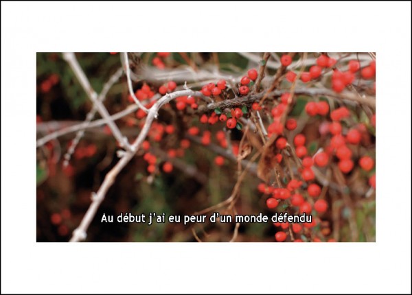 Incipit - Aymeric Vergnon – Image 4
