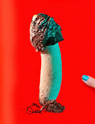 Mushrooms and Friends 3 - Phyllis Ma