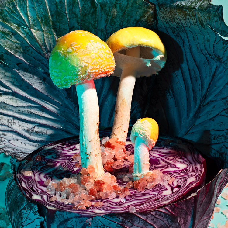 Mushrooms and Friends 3 - Phyllis Ma – Image 4