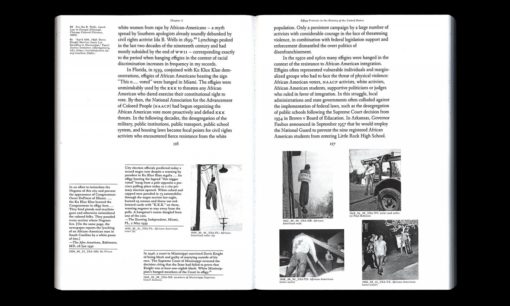 Burning Images, A History of Effigy Protests - Florian Göttke – Image 5