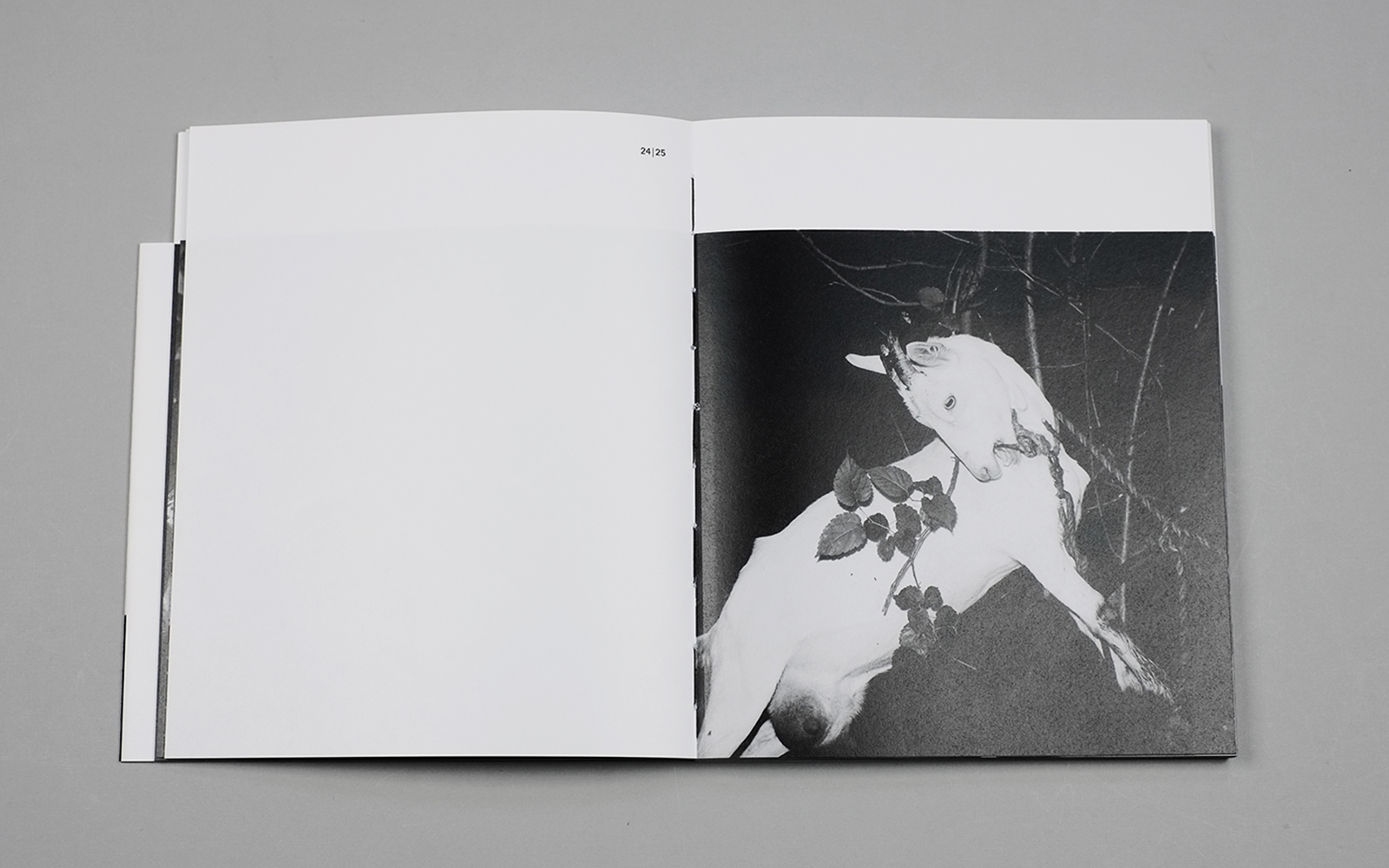 Issei Suda : My Japan – Image 8