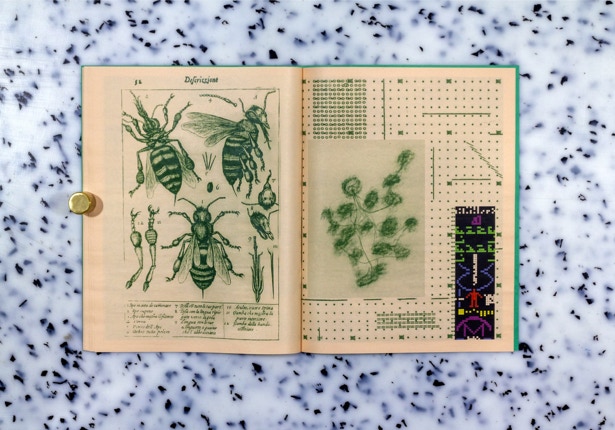 Anémochorie - Antonin Detemple – Image 2