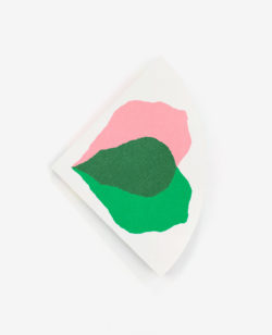 Bloom - Julie Safirstein