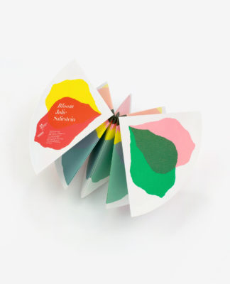Bloom - Julie Safirstein – Image 10