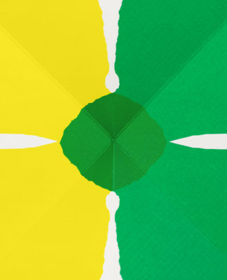 Bloom - Julie Safirstein – Image 3