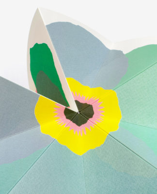 Bloom - Julie Safirstein – Image 6