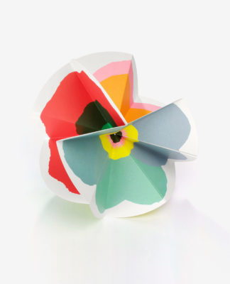 Bloom - Julie Safirstein – Image 7