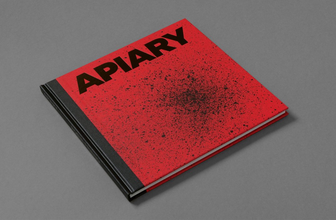 Apiary - Robin Friend – Image 2