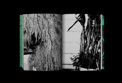 Photography 写真 - Koji Kitagawa – Image 11