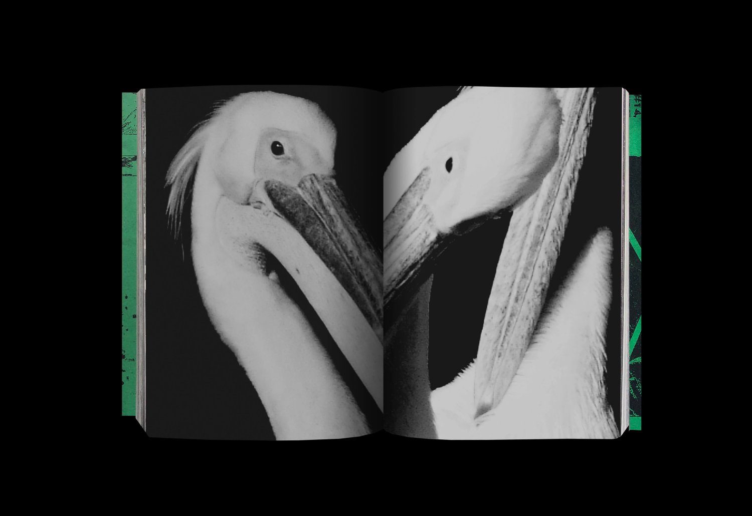 Photography 写真 - Koji Kitagawa – Image 12