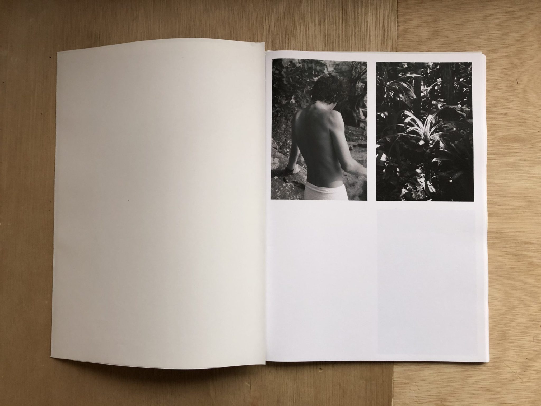 Ensemble - Juliette Chalaye, Dalia Mansier – Image 5