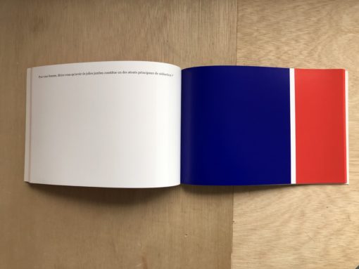 Opinions - Matthieu Saladin – Image 3