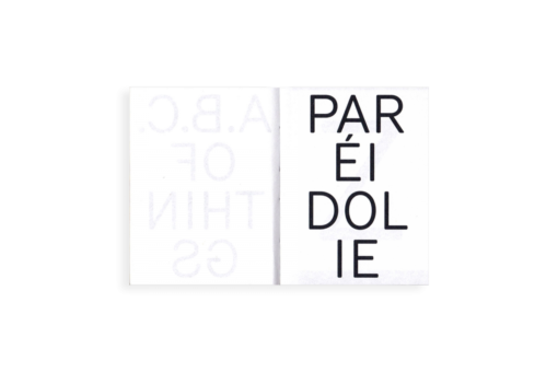 Paréidolie - Kïosk (Elsa Aupetit et Martin Plagnol) – Image 2
