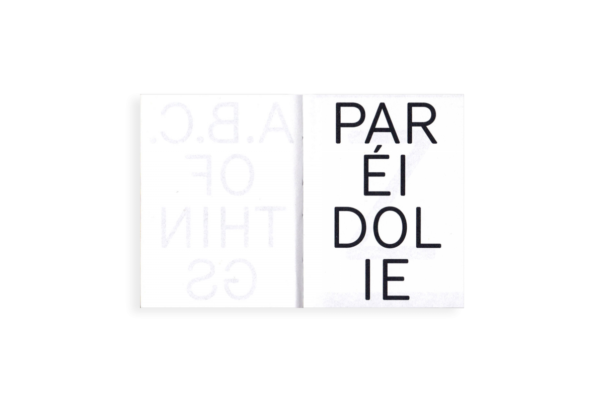 Paréidolie - Kïosk (Elsa Aupetit et Martin Plagnol) – Image 2