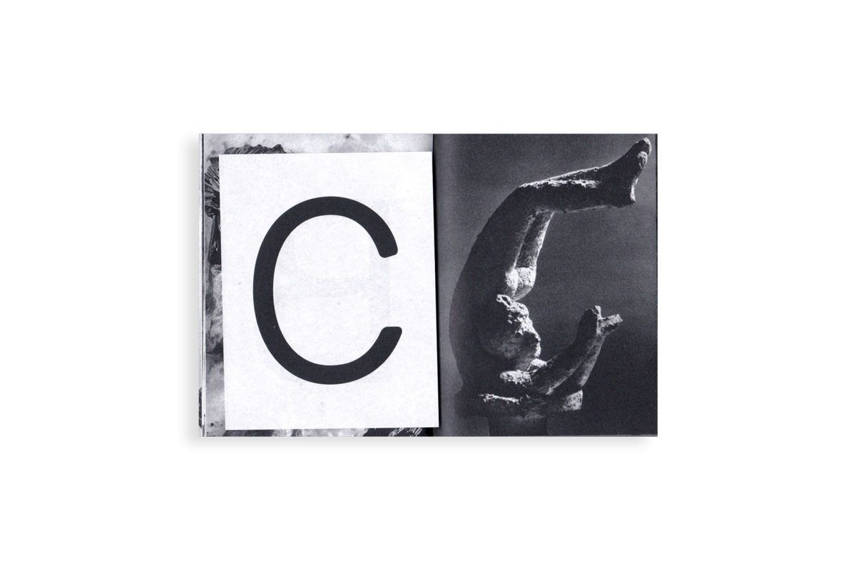Paréidolie - Kïosk (Elsa Aupetit et Martin Plagnol) – Image 6