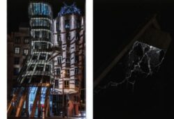 Laissez-Faire - Cristiano Volk – Image 5