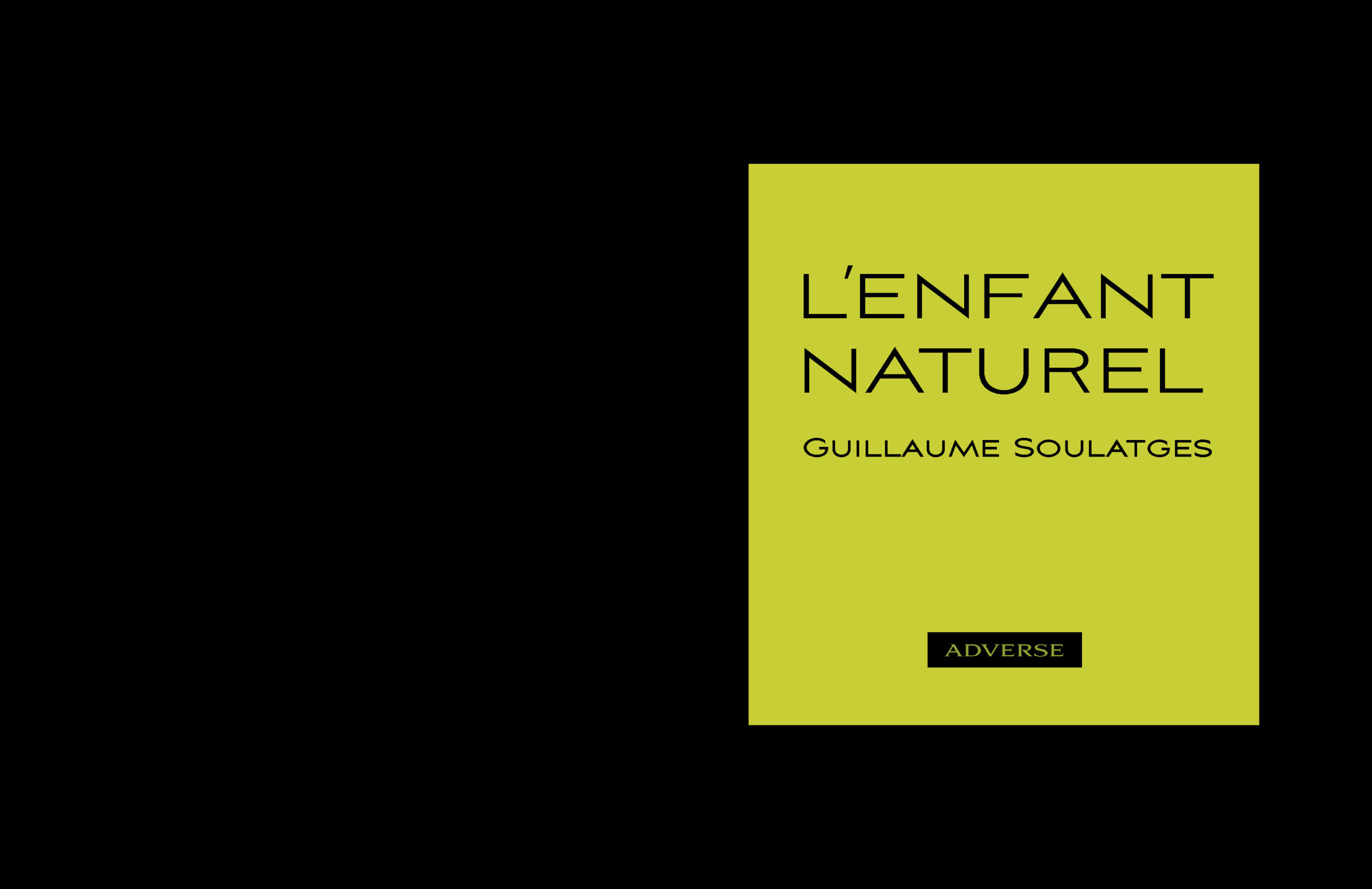 L'Enfant naturel - Guillaume Soulatges