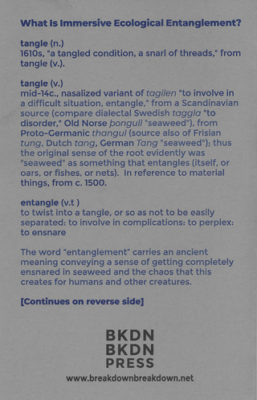 SONIC MEDITATIONS for immersive ecological entanglement - BKDN BKDN Press – Image 3