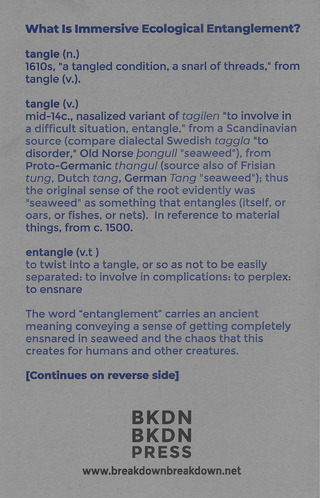 SONIC MEDITATIONS for immersive ecological entanglement - BKDN BKDN Press – Image 3