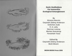 SONIC MEDITATIONS for immersive ecological entanglement - BKDN BKDN Press – Image 4