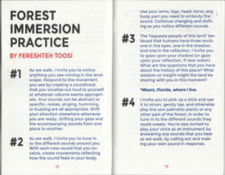 SONIC MEDITATIONS for immersive ecological entanglement - BKDN BKDN Press – Image 5