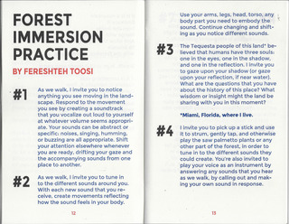 SONIC MEDITATIONS for immersive ecological entanglement - BKDN BKDN Press – Image 5