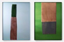 Bas-Reliefs / Bas-Reliefs Détails (2 livres) - Ronan Bouroullec – Image 4