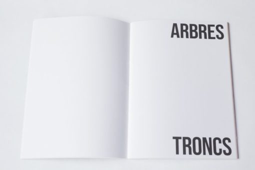 ARBRES-TRONCS - Zoé van der Haegen – Image 2