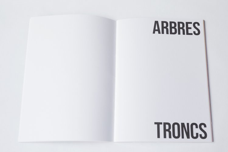 ARBRES-TRONCS - Zoé van der Haegen – Image 2