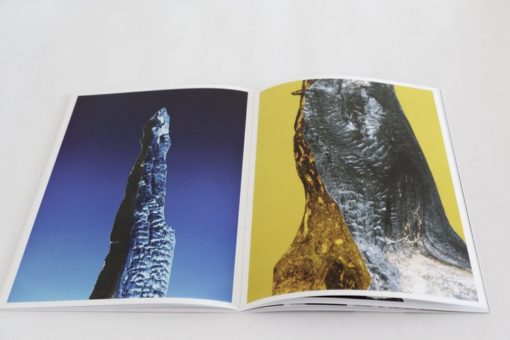 ARBRES-TRONCS - Zoé van der Haegen – Image 5