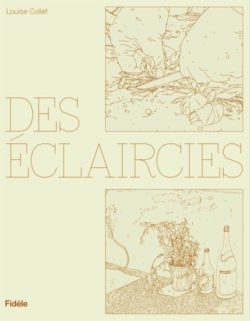 Des Éclaircies - Louise Collet