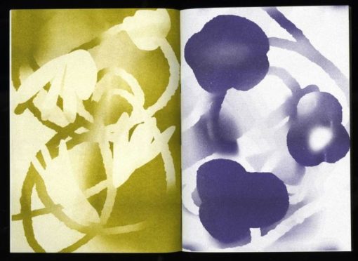 Flower finds - Orianne Jeanselme – Image 5