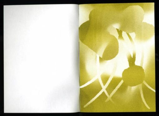 Flower finds - Orianne Jeanselme – Image 3