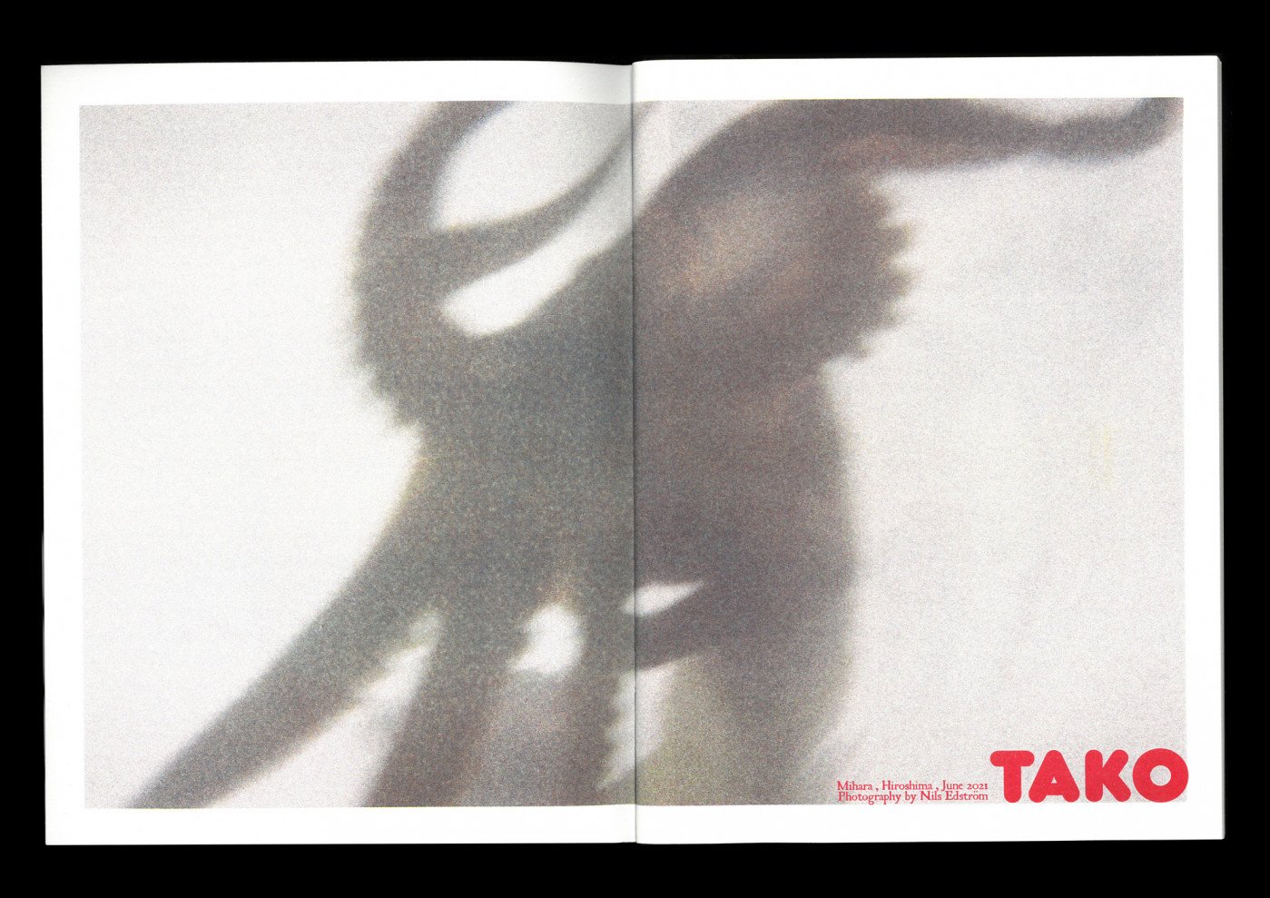 Tako - Nils Edström – Image 4