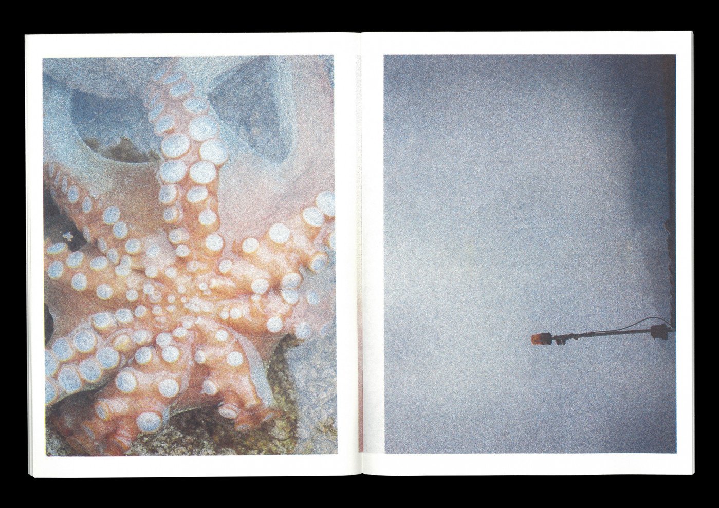 Tako - Nils Edström – Image 2