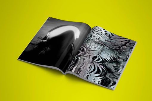 TROPICAL STOEMP 02 - Editions Le Mulet – Image 6